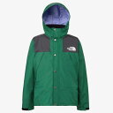 THE NORTH FACE(ザ・ノース・フェイス) NP12333 メンズ マウンテンレインテックスコート レインジャケット アウター ゴアテックス