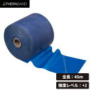 【5%OFFクーポン配布中★4/25 20時～4時間限定】THERABAND セラバンド 長さ45m/50ヤード 強度レベル+2 ブルー TB-450