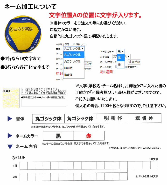 ミカサ バレーボール 5号球 検定球 国際公認球 V300W 新商品 [一般・大学・高校用]