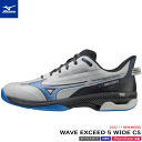 MIZUNO ミズノ テニスシューズ WAVE EXCEED 5 WIDE CS ウエーブ エクシード カーペットコート用 61GR2311