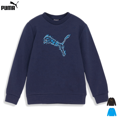 PUMA プーマ スウェット トレーナー ACTIVE SPORTS クルースウェット ジュニア キッズ 子供用 677719