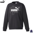 PUMA v[} XEFbg g[i[ GRAPHIC CREW TR WjA LbY qp 677735