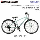 【SALE】【台数限定】ブリヂストン シュライン 24インチ 7段変速 SHL45 グリッターブルー ミストグリーン ブリジストン bridgestone 子供...