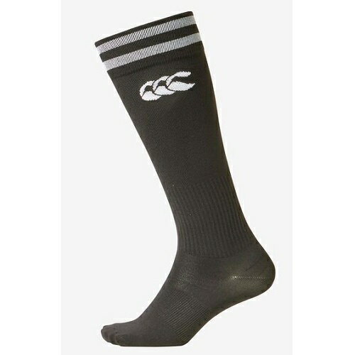 󥿥٥꡼ CANTERBURY 2LINE STOCKINGS 饰ӡ ȥå AS04054-19