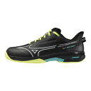 ミズノ MIZUNO ウエーブエクシード5 SW OC オムニクレーコート用 テニスシューズ ユニセックス 61GB2314-46