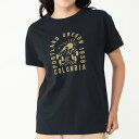 コロンビア Columbia ヤハラフォレストショートスリーブTシャツ 半袖 アウトドア ウィメンズ PL1517-464