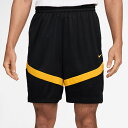 ナイキ NIKE ナイキ DF アイコン ショート 8インチ ショートパンツ バスケットボール ユニセックス DV9525-017