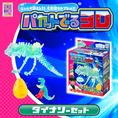 【送料無料】おもちゃショーにも出展しました！パカットでーる3D ダイナソーセット　メーカー公式だから安心　知育玩具　クラフト　レジン パカットでーる