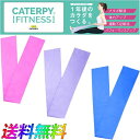 CATERPY キャタピー フィットネス エクササイズ ループバンド トレーニング ゴムベルト フィットネス用品 リハビリ トレーニング