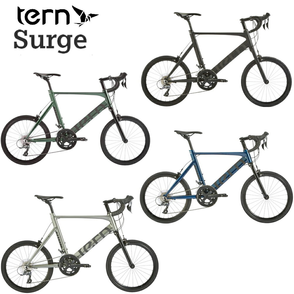  Surge 2024ǯǥ TERN  ߥ˥٥ɥХ ¼ž