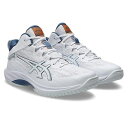 ◆エントリーでpt5倍◆アシックス(asics) バスケットボールシューズ GELHOOP V17 EXTRA WIDE 1063A097-102