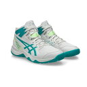◆エントリーでpt5倍◆アシックス(asics) ジュニア バスケットボールシューズ DUNKSHOT MB 10 1064A006-400