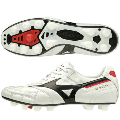 mizuno-p1ga200209-1.jpg mizuno-p1ga200209-1.jpg