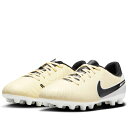【SALE】【NIKE】ナイキ ジュニア レジェンド 10 アカデミー HG