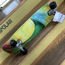 CARVER カーバー 【GREEN ROOM】 33.75