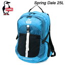 SALE チャムス スプリングデール25リットル CHUMS Spring Dale 25L CH60-3548 デイパック リュック【送料無料】