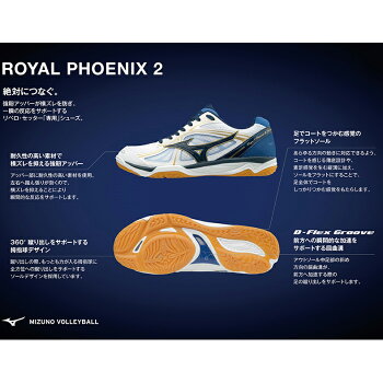 【あす楽】【送料無料】【2017年秋冬モデル】MIZUNOミズノバレーボールシューズROYALPHOENIX2ロイヤルフェニックス2V1GA1730