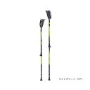 【お得なクーポン発行中】 ハタチ HATACHI ウォーキング ノルディック 高齢者 シニア 運動 ポール ストック DFP プログレッシブズーム 2 WH11...