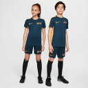 【2,000円OFFクーポン発行中】 ナイキ NIKE ジュニア サッカー トップス Tシャツ ナイキ YTH KM DF ACD23 S/S トップ FZ5319 478 【2024FW】