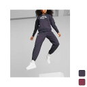 【お得なクーポン発行中】 プーマ PUMA レディース パンツ ロング PUMA TEAM スウェットパンツ FL 625216 【2023FW】