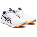 アシックス ASICS メンズ レディース バレーボール　シューズ ROTE JAPAN LYTE FF 3 1053A054 101 