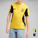 【お得なクーポン発行中】 プーマ PUMA キッズ ジュニア スポーツ サッカー トレーニング ウェア トップス 半袖 Tシャツ Borussia Dortmu...
