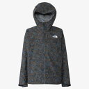 【お得なクーポン発行中】 ザ・ノース・フェイス THE NORTH FACE メンズ トレッキング アウトドア ウェア アウター ジャケット ウィンドブレーカー...