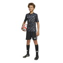 【お得なクーポン発行中】 アディダス adidas キッズ ジュニア サッカー ウェア トップス Tシャツ 半袖 プラクティス グラフィック ジャージー JL9...
