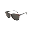【1,000円OFFクーポン発行中】 ダンシェイディーズ DANG SHADES メンズ レディース サングラス【専用ケース付き】偏光 おしゃれ アウトドア 釣り ドライブ キャンプ スポーツ 日本製レンズ FENTON vidg00427 Polarized