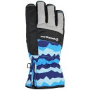 【予約販売中】 ノースピーク north peak ジュニア スキー スノーボード 雪遊び 手袋 グローブ JUNIOR GLOVES NP-4073 BL 【25-26モデル】