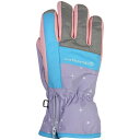 【予約販売中】 ノースピーク north peak ジュニア スキー スノーボード 雪遊び 手袋 グローブ JUNIOR GLOVES NP-4073 PU 【25-26モデル】