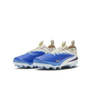 【2,000円OFFクーポン発行中】ナイキ NIKE ジュニア サッカー スパイク シューズ 天然芝 人工芝用 ナイキ ジュニア ファントム 6 LOW アカデミー FGMG LV8 IH1192 400 【2025FW】