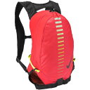ナイキ NIKE スポーツ ランニング アクセサリー バッグ ナイキ ラン コミューター バックパック 15L RN8063 635 【2025SS】