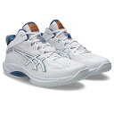 【お得なクーポン発行中】 アシックス ASICS メンズ レディース バスケットボール シューズ GELHOOP V17 SW 1063A097 102 【20...