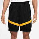 ナイキ NIKE メンズ バスケットボール ウエア ボトムス ショートパンツ ナイキ DF アイコン+ ショート 8インチ DV9525 017 【2025SS...