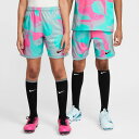 ナイキ NIKE ジュニア サッカー ウエア ボトムス ショートパンツ ナイキ YTH DF ACD+ SHORT K GX PD HJ3827 646 【20...