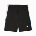 【2,000円OFFクーポン発行中】 プーマ PUMA メンズ サッカー ウエア ボトムス ショートパンツ INDIVIDUALLIGA トレーニング ショーツ 659828 09 【2025SS】
