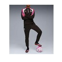 プーマ PUMA メンズ サッカー ブリリアンス ジャージ トップス ハーフジップ PL Liga 1/4 ジップトップ Brilliance 660382 【...