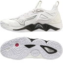 【お得なクーポン発行中】 ミズノ MIZUNO メンズ レディース バレーボール シューズ WAVE MOMENTUM 3 V1GA231251 【2023AW...