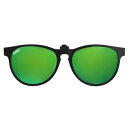 【2,000円OFFクーポン発行中】 エドウィン EDWIN 偏光 サングラス 【品番】 EDU-12-4 【カラー】 SM.GRN.PL 【お買い得 サングラス】