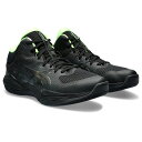 【お得なクーポン発行中】 アシックス ASICS ジュニア メンズ レディース バスケットボール シューズ NOVA FLOW 2 1063A071 002 【...