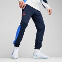 プーマ PUMA メンズ サッカー ウェア ボトムス ロングパンツ ジャージ キング プロ トレーニング ニットパンツ 658351 【2024SS】