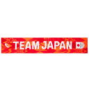 【お得なクーポン発行中】 アシックス ASICS メンズ レディース スポーツ アクセサリー タオル 3033C050