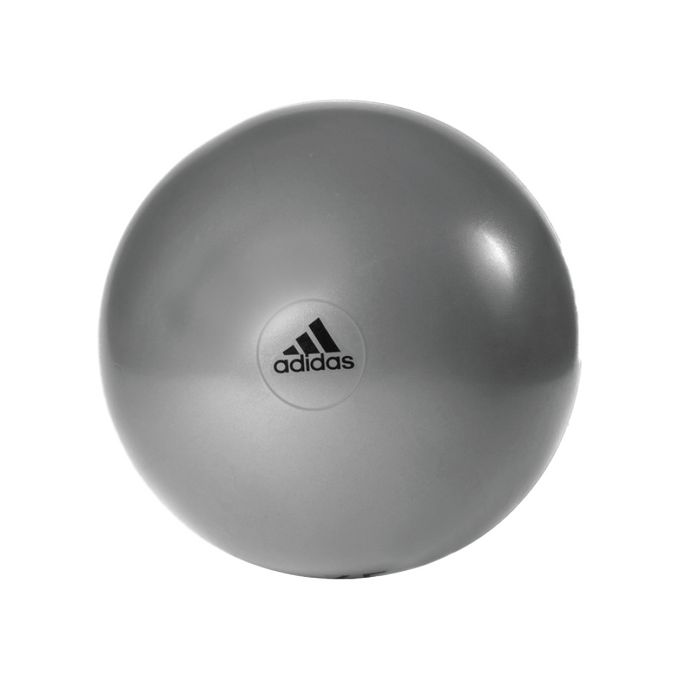 バランスボール 【クーポン発行中】 アディダス adida バランスボール トレーニング フィットネス エクササイズ ジムボール 55cm グレー ADBL11245