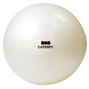 【2,000円OFFクーポン発行中】 キャタピー CATERPY バランスボール トレーニング フィットネスボール55cm パールホワイト CF-007