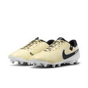 ナイキ NIKE メンズ サッカー スパイク シューズ 天然芝 人工芝用 ナイキ レジェンド 10 アカデミー FG/MG DV4337 700 【2024SS】