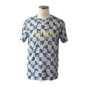 【お得なクーポン発行中】 アクティブーム ActiveM 野球 ウエア トップス 半袖Tシャツ ペイズリー柄Tシャツ 013REWH ホワイト 【2024FW】