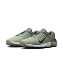 【お得なクーポン発行中】 ナイキ NIKE メンズ ゴルフ シューズ ナイキ フリー ゴルフ NN FN0332 300 【2025SS】