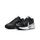 【お得なクーポン発行中】 ナイキ NIKE メンズ テニス シューズ クレイコート用 ナイキコートズーム GP チャレンジ PRO CLY FJ7767 001...