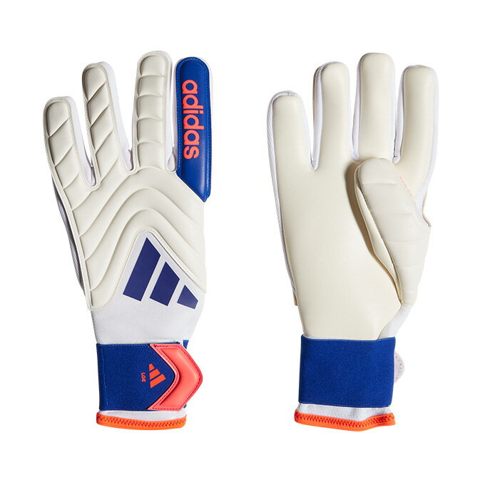 ڤʥݥȯ ǥ adidas  ǥ å ꡼ 륭ѡ  GK ꡼ ...